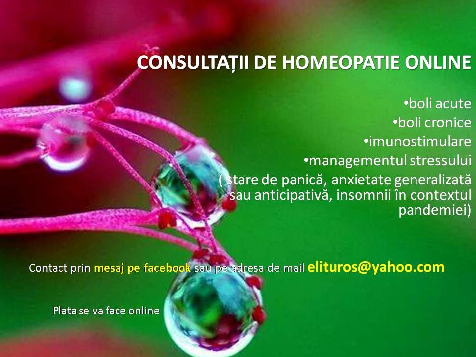 consultatii-homeopatie-online satu mare