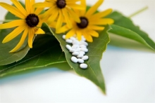 Medicina Homeopata Oradea Cabinet homeopatie Oradea